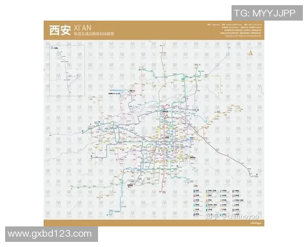 西安乒乓球队运营模式解析与发展前景探讨